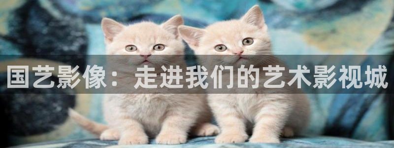被窝电影伦理网