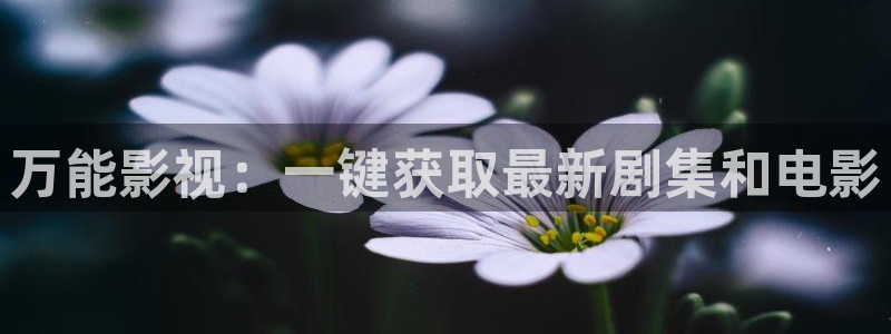 午夜被窝电影网