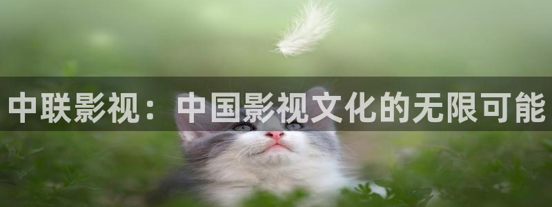 被窝午夜新影院