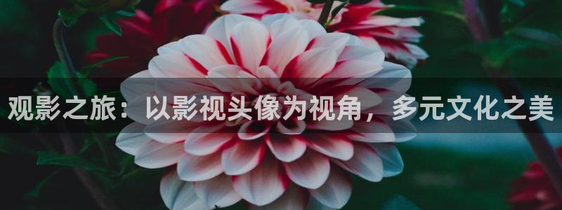 被窝影院手机免费观看