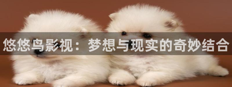 被窝影院在线观看