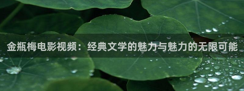 噜噜噜被窝影院