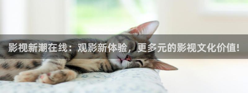 被窝电影网理论
