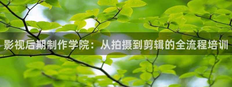 被窝影院